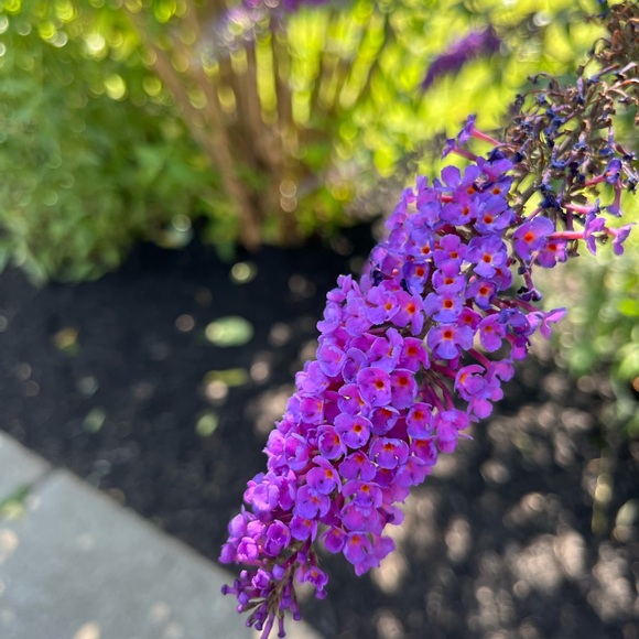 Juneteenth T-shirt - Picture 3 of 3